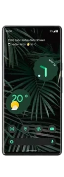 Google Pixel 6 Pro